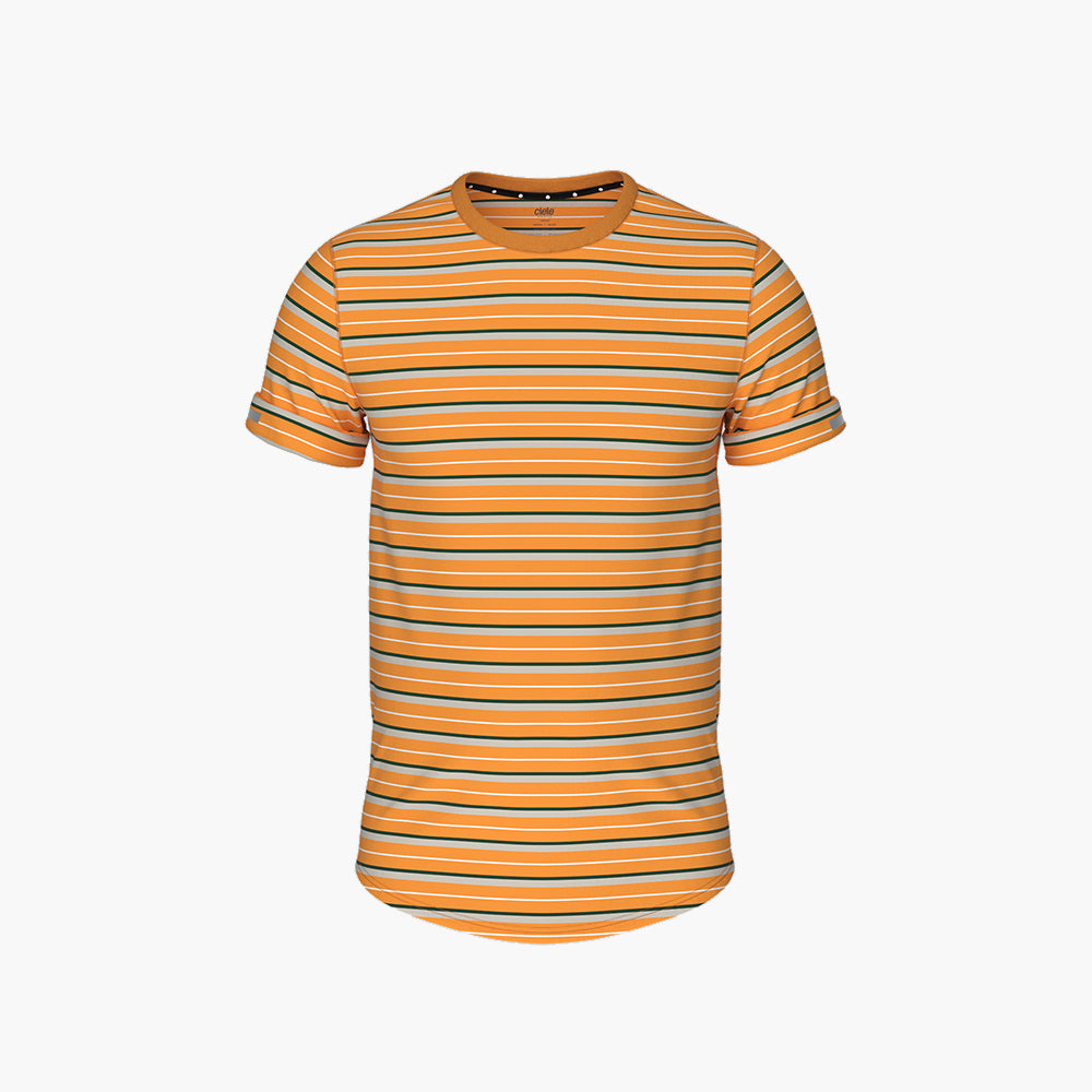 ciele-nsbtshirt-t-shirt-school-daze-stripe-herren image 1