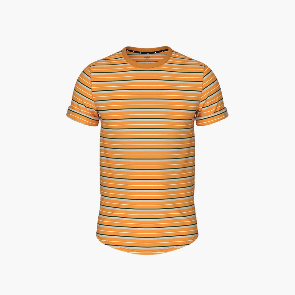 ciele-nsbtshirt-t-shirt-school-daze-stripe-herren image 1
