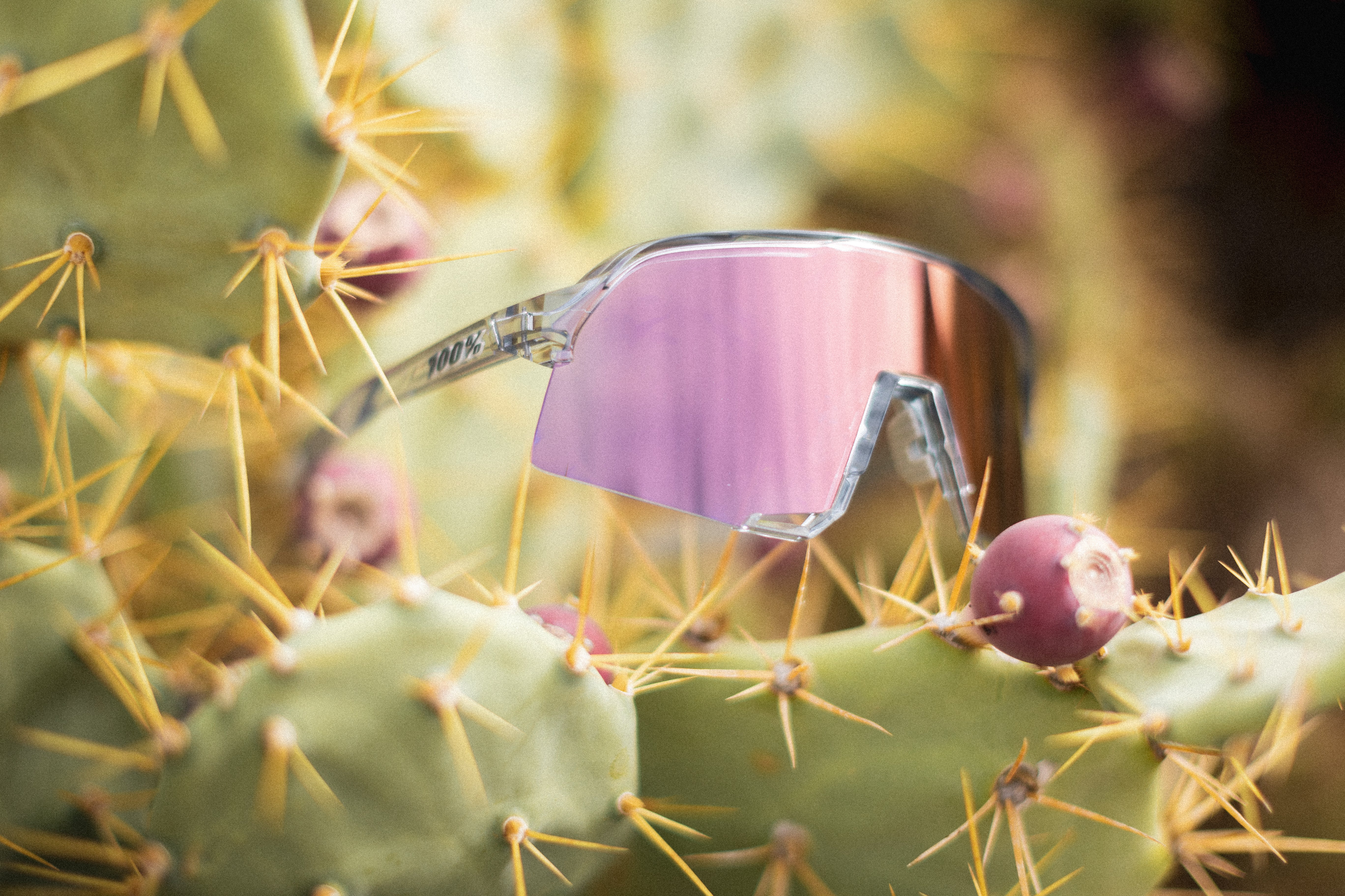 100-s3-sportbrille-polished-translucent-grey-photochrom-rose-gold image 5